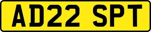 AD22SPT