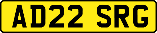 AD22SRG