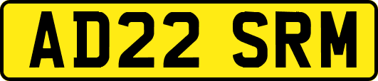 AD22SRM