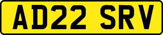 AD22SRV