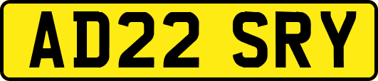 AD22SRY