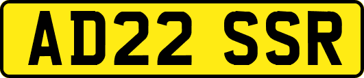 AD22SSR