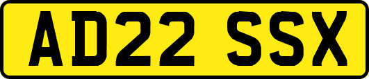 AD22SSX