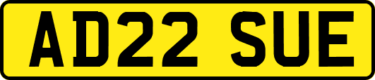 AD22SUE