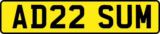 AD22SUM