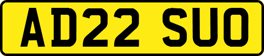 AD22SUO
