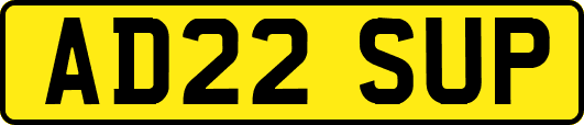 AD22SUP
