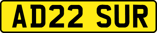 AD22SUR