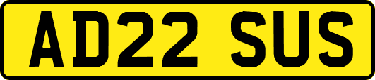 AD22SUS