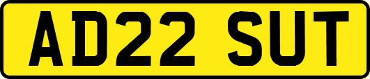 AD22SUT