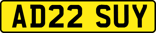 AD22SUY