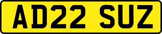 AD22SUZ