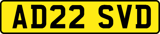 AD22SVD