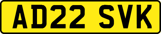 AD22SVK