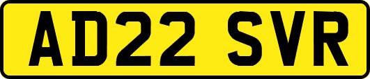 AD22SVR