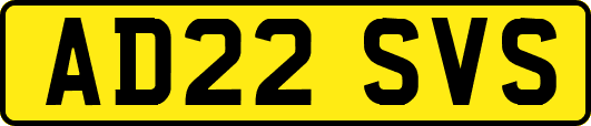 AD22SVS