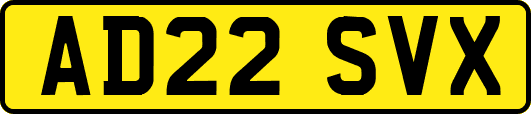 AD22SVX