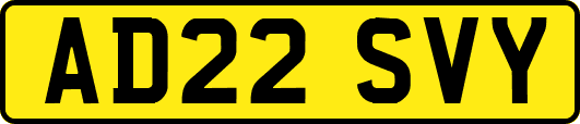 AD22SVY