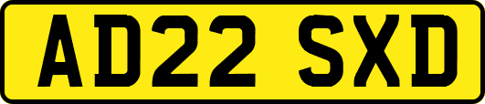 AD22SXD