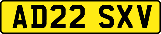 AD22SXV