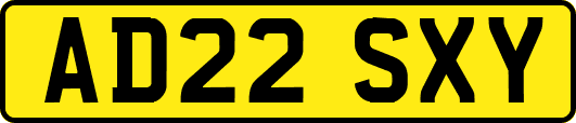 AD22SXY