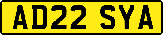 AD22SYA