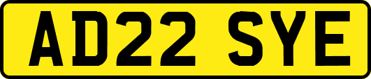 AD22SYE