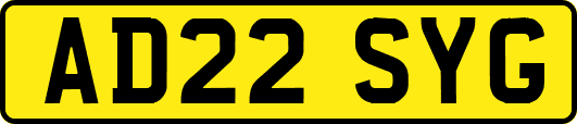 AD22SYG