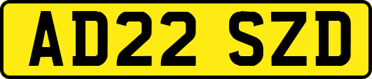 AD22SZD