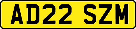 AD22SZM