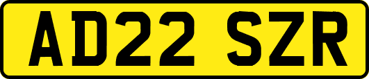 AD22SZR