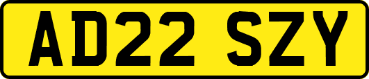 AD22SZY