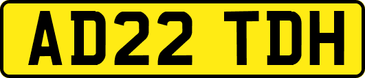 AD22TDH