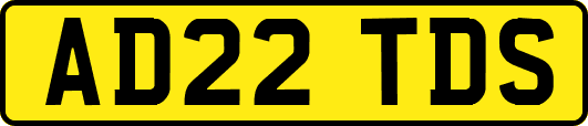 AD22TDS