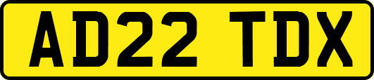 AD22TDX