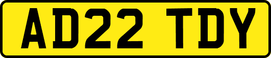 AD22TDY