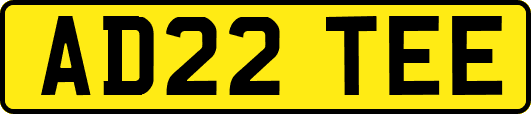 AD22TEE