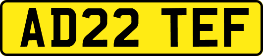 AD22TEF