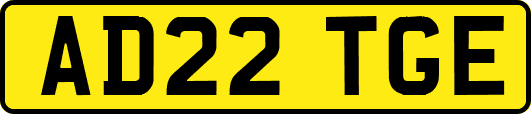 AD22TGE