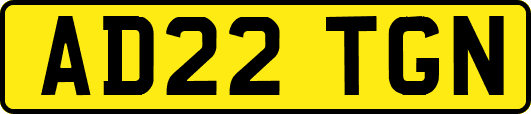 AD22TGN