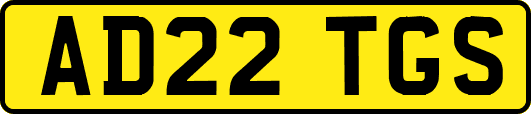 AD22TGS