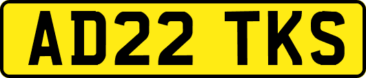 AD22TKS