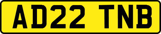 AD22TNB
