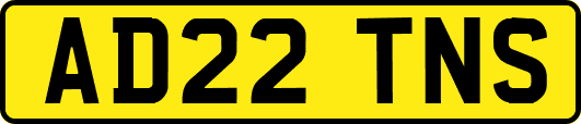 AD22TNS