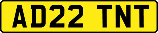 AD22TNT