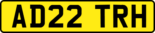 AD22TRH