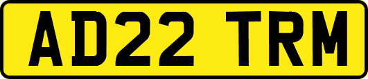 AD22TRM