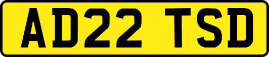 AD22TSD