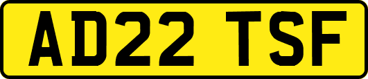 AD22TSF