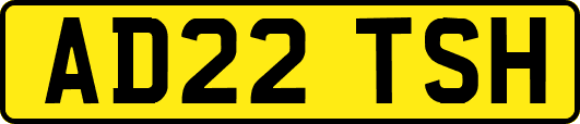 AD22TSH
